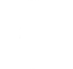 Bottega26